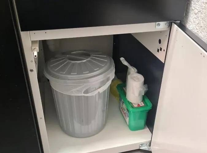 Am See פרידריכסהאפן